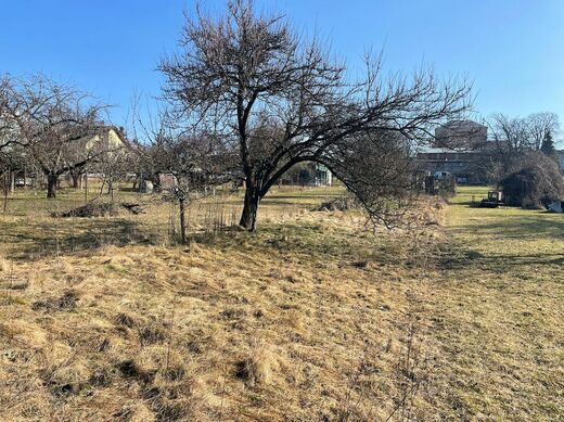 Land Ready for Mobile Home | Before Site Preparation