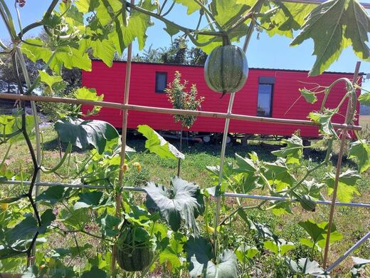 Red Wood Clad Mobile Home – Garden Setting